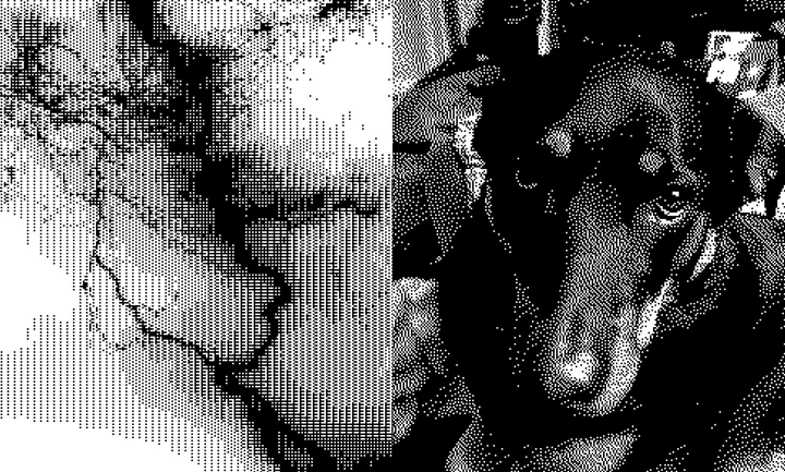 Dither.Live gallery and output interface